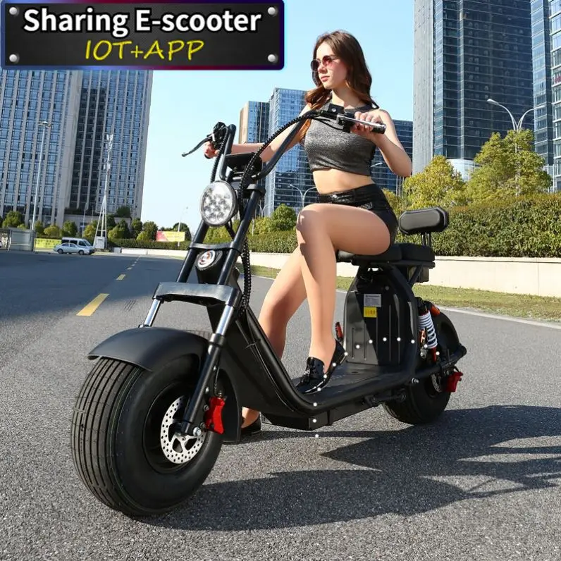 

New Electric Scooters 150cc Steel Frame For Men And Women Citycoco Removable Battery Electric Chopper Motorbike Golf Kit
