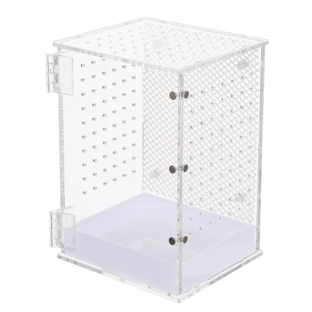 Spider Jumping Breeding Box Small Clear Container Enclosure Accessories  Acrylic Habitat Holder Terrarium For - AliExpress