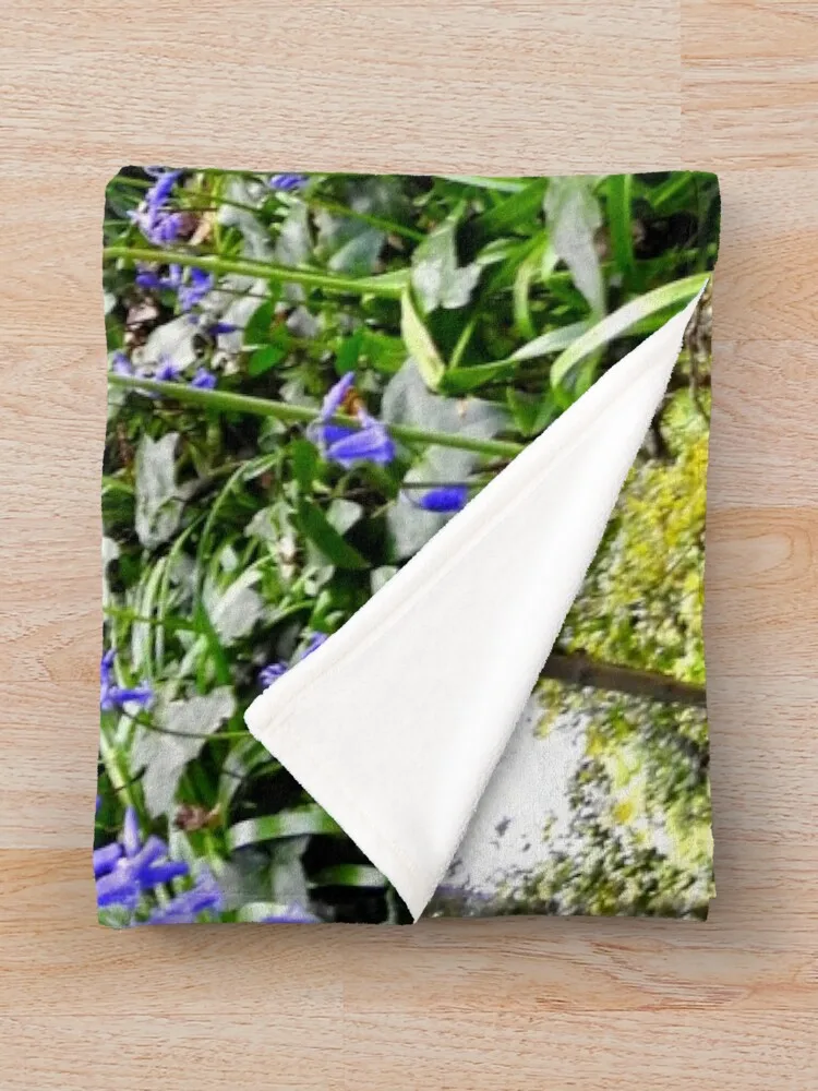 �ɳ� ���级 ������ ���, ǫ���� ���, ���� ���� ���, ������ ���