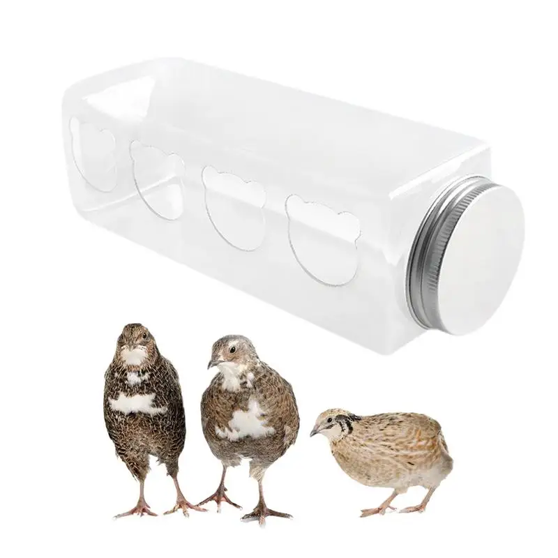 

Small Bird Feeder clear Quail Feeder Reusable chicken feeder with 4 Cute Bear Feeding Ports portable Chicken birds Feeder