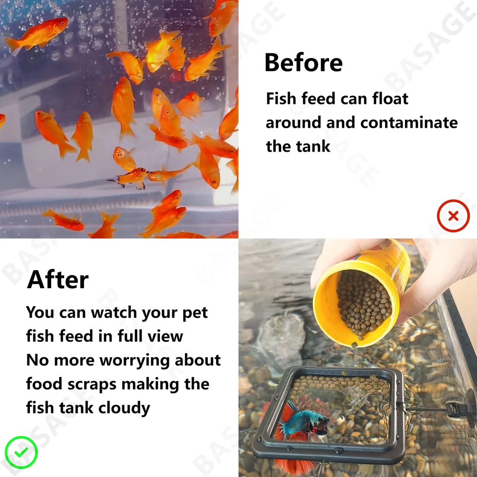 Anello Mangiatoia Per Pesci Con Ventosa - Stazione Alimentazione Acquario Per Pesci Rossi E Tropicali