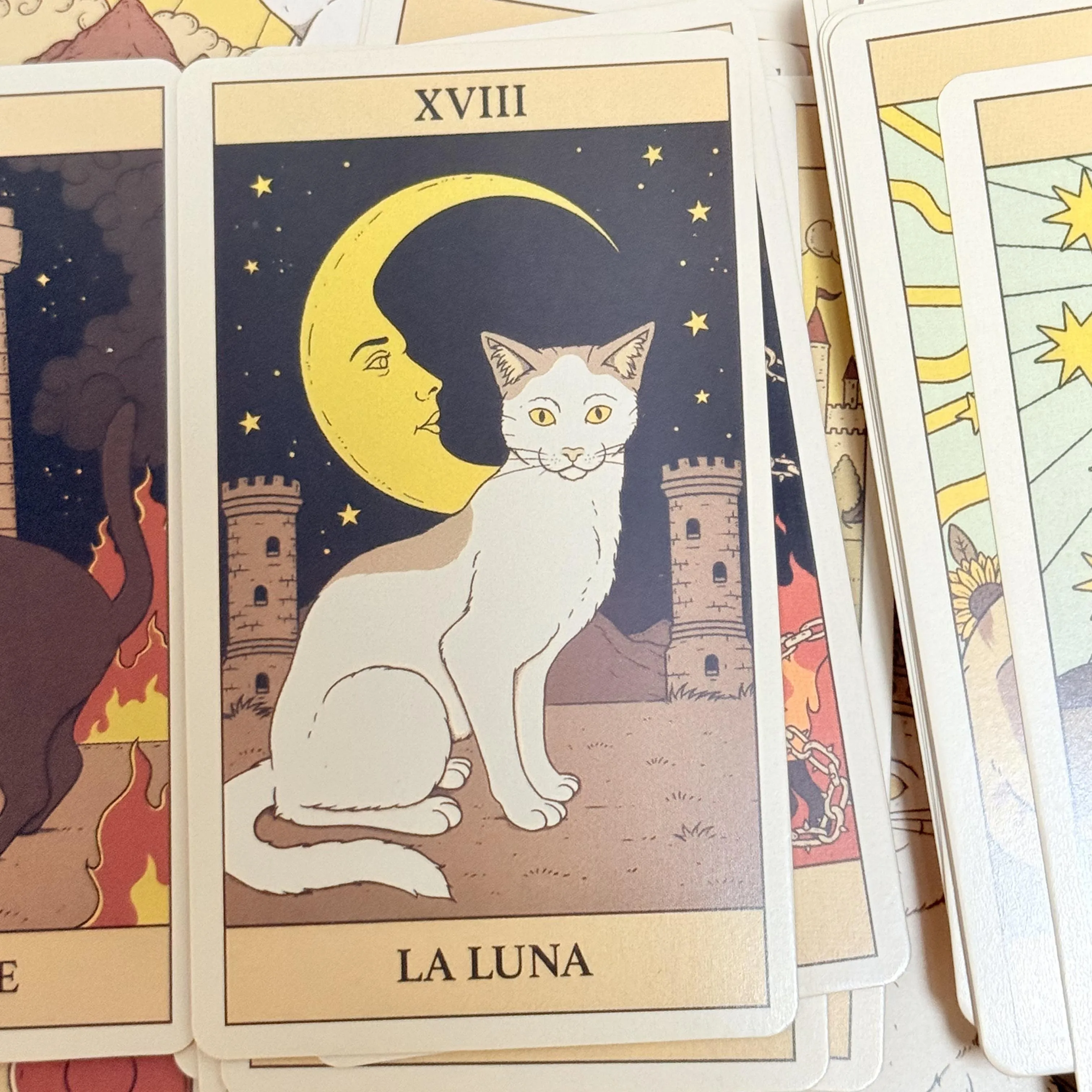 Description Picture 6 of itemSpanish Version Cats Rule Earth Tarot Cards 78 Oracle Deck Unique Cards for Cat Lovers and Tarot Enthusiasts Cute Tarot
