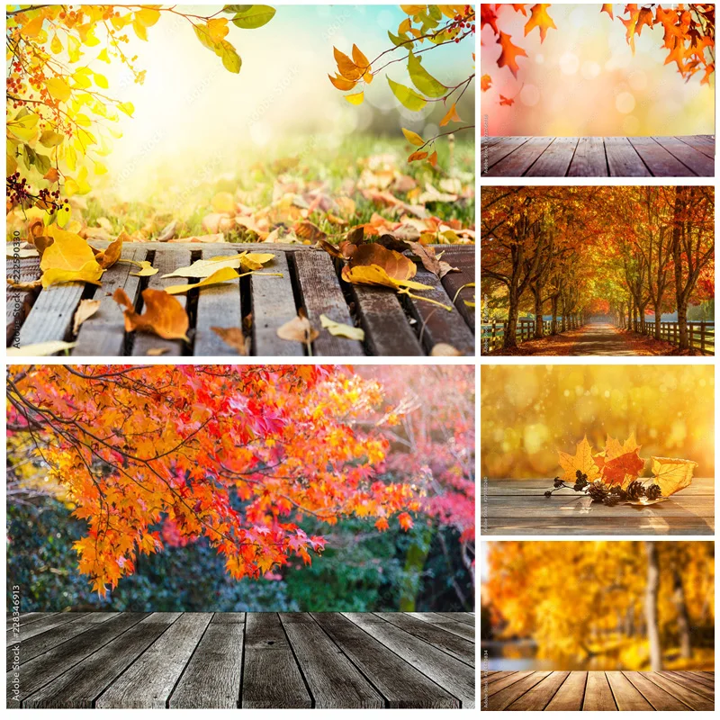 

Natural Scenery Photography Background Fall Leaves Forest Landscape Travel Photo Backdrops Studio Props 211224 QQTT-05