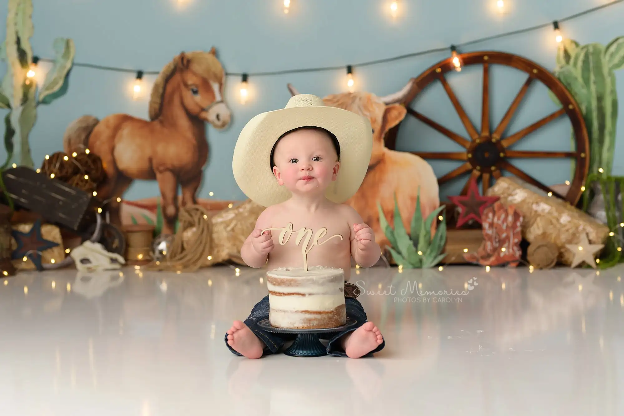 Cowboy Backdrops Kids Baby Birthday Cake Smash Props Child Adult Photocall Cow Horse Photography Decors Background photo backdrop,photography auxiliary props