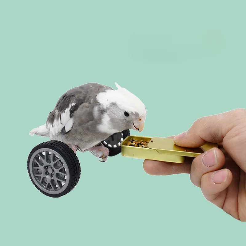 Parrot Balance Birds Intelligence Training Interactive Toy Mini Bicycle Wheels Roller for Small Medium Birds Pet Supplies Toys parrot toy bird toy