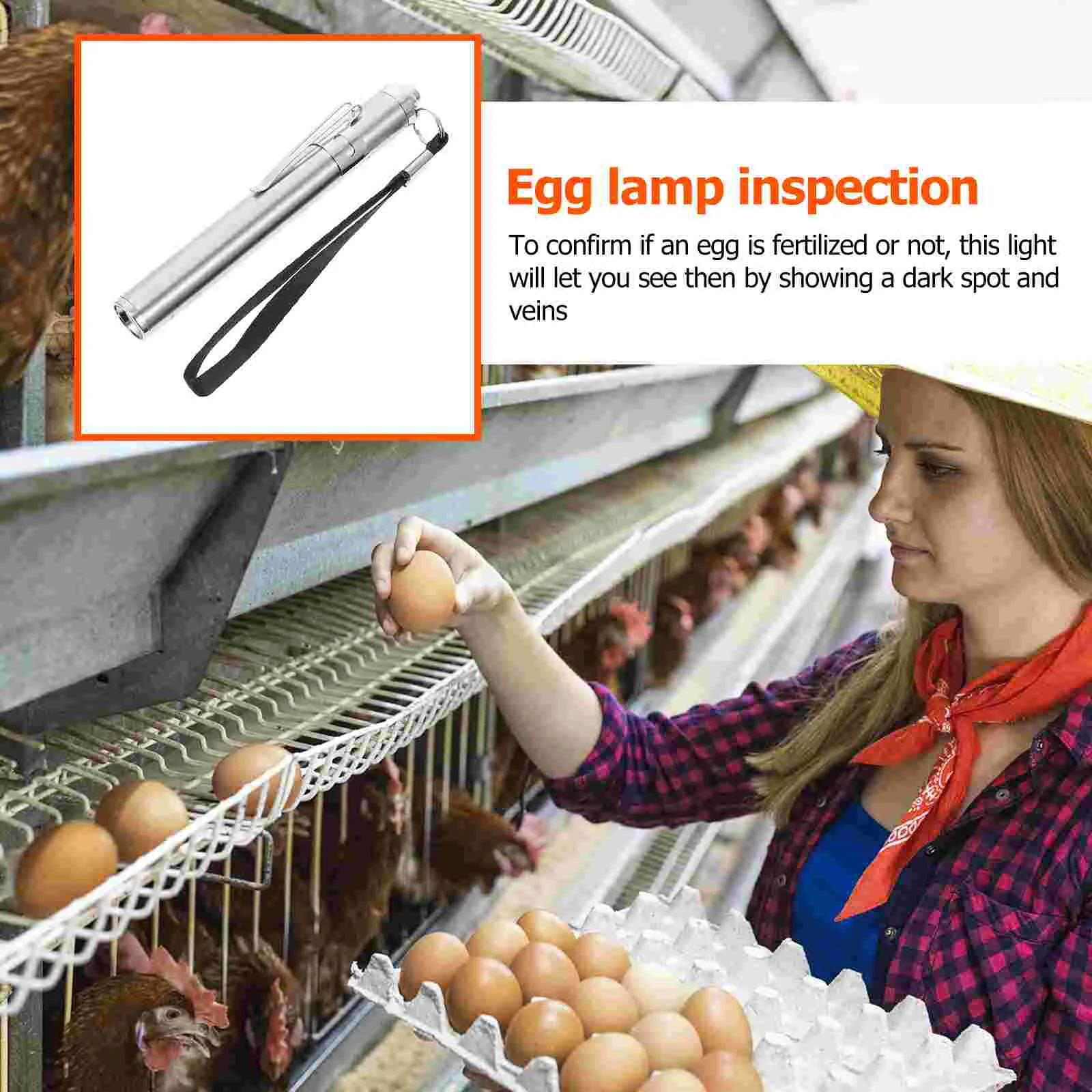Professional Led Egg Candler Mini For Toy Pet Products Eggs Incubator Lamp Hatch Chick Duck Goose Parrot Checker