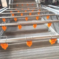Circulating Water Chestnut Portulaca Ormosia Washer Conveyor Tremella Fruit Vegetables Clean Washing Machine 2