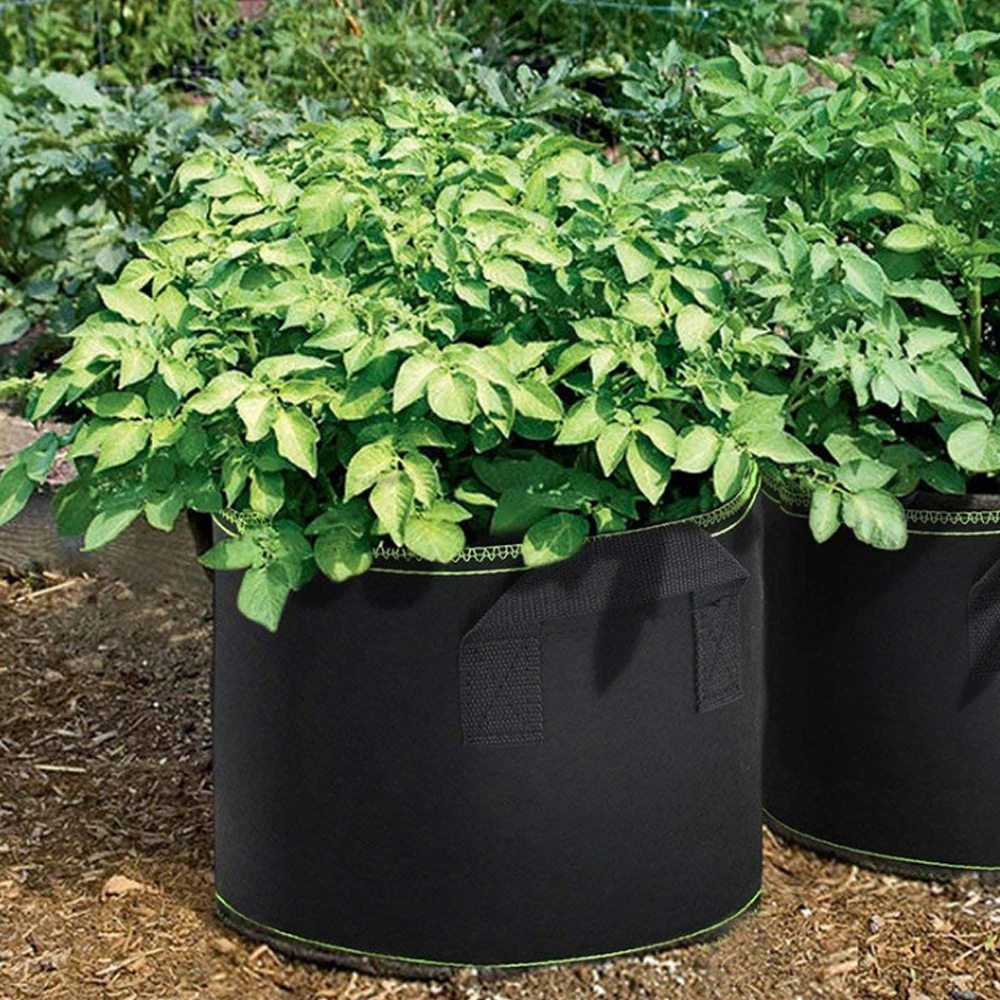 Fabric Plant Pots Grow Bags 25/30/35/40cm Gallon Gardening Vegetable Tomato  Strawberry Growing Planter Garden Planting Pots - AliExpress