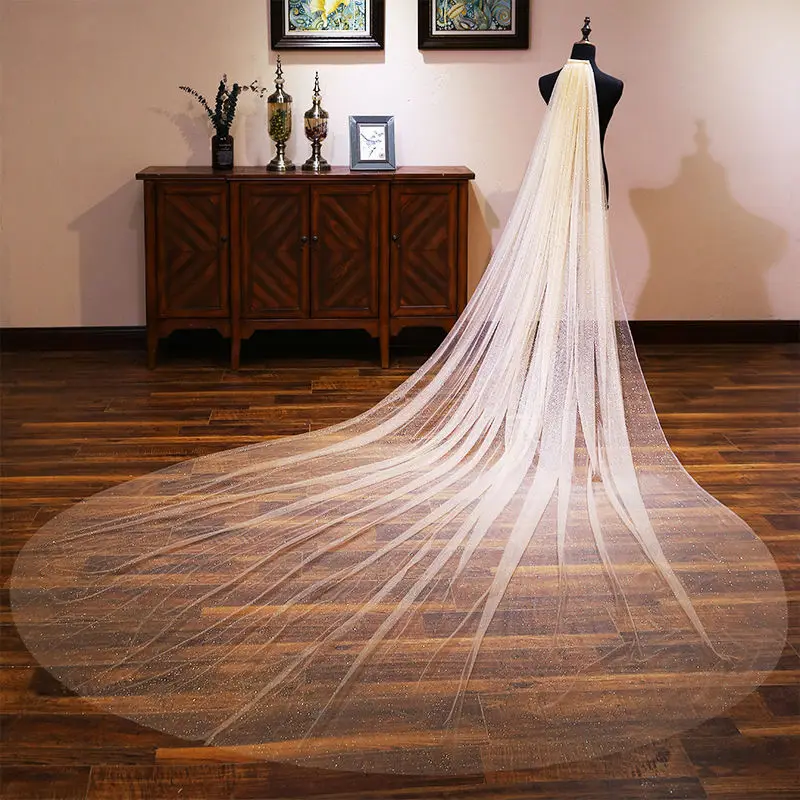 Luxury Off White Sparkle Wedding Veil 3M