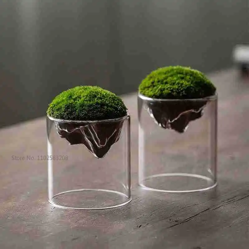 Hydroponic Vase Creative Mountain Shaped Moss Glass Bottle Vase
