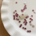 07 4MM dry rose