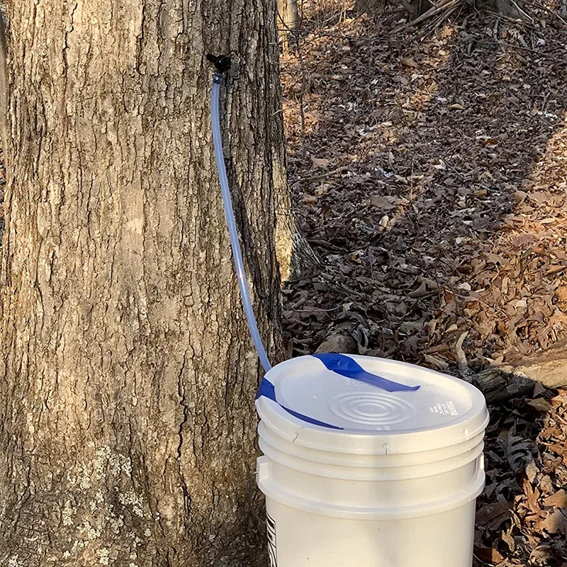 6/12Set Maple Syrup Tree Tapping Kit Maple Sap Dropper Taps Set Tree Tap Filter Collection Tubes Home Garden Branch Pruning Tool maple syrup tapping kit
