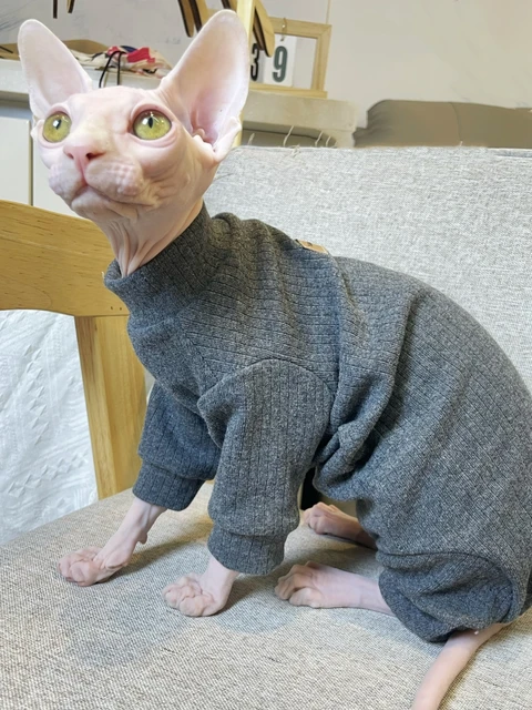 Dark Grey Elestic Cotton Jumpsuit for Hairless Cat Thick Soft Coat