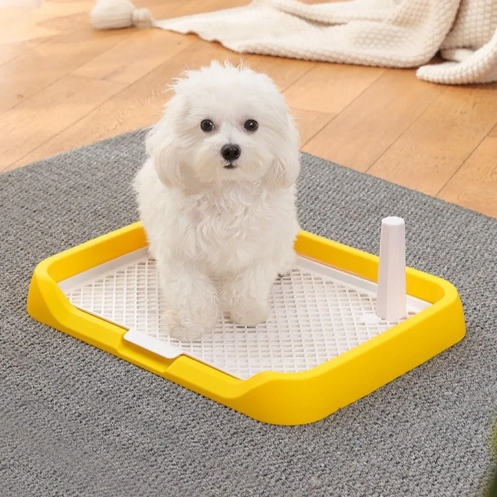 Toilette per Cani Pratica e Impermeabile con Rete Rimovibile, Toilette in Plastica con Parte Superiore Aperta per Addestramento Animali Domestici - immagine 5