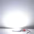 Cold White