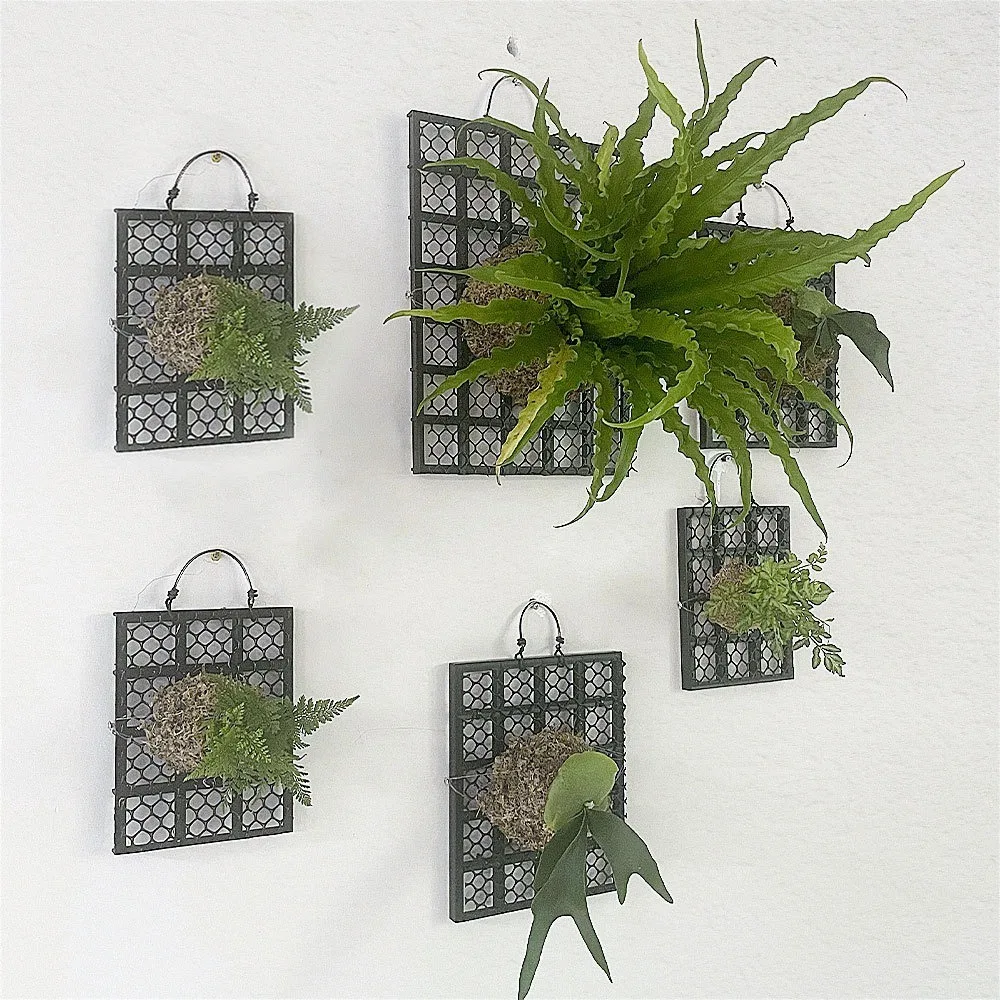 Black Thickened Staghorn Fern Board Dendrobium Orchid Fern Planting Board Decorations Plastic Gardening Hanging