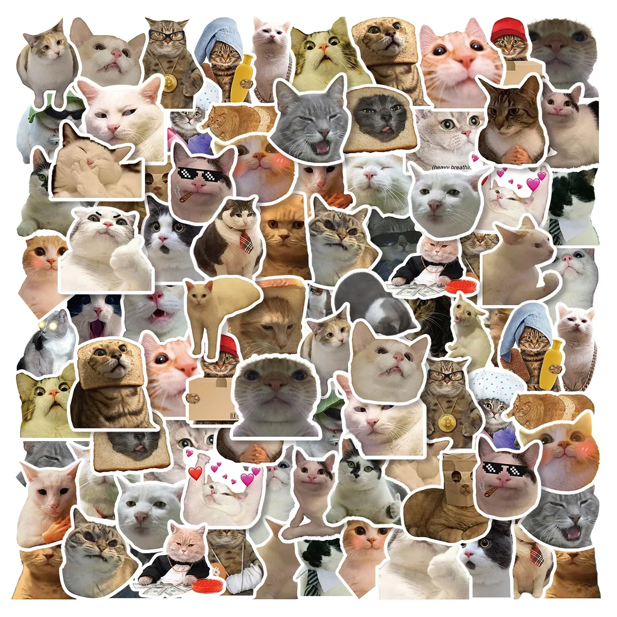 Fun Sticker Cat Leader S0b367c1997ff45989bb836de9670a403v.jpg