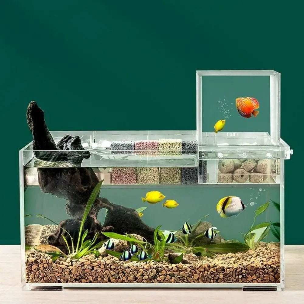 Landscaping Negative Pressure Fish Tank Unique Easy to Install Acrylic Suspended Fish Tank Eye-catching