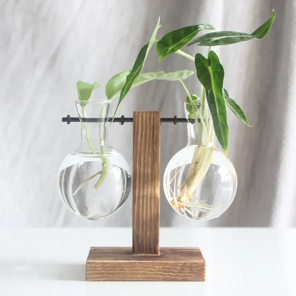 Bulb Vase Transparent with Wooden Stand Desktop Glass Planter for Hydroponics Plants Coffee Shop Room Decor