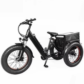 Solar Electric Cargo Trike 1