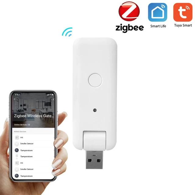 USB Zigbee HUb 1