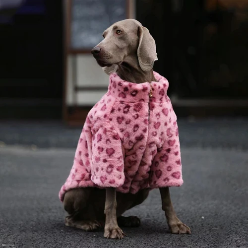 small designer dog clothes