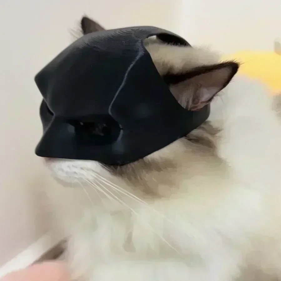 Cat Bat Man Mask Cat Avenger Mask Matte Cute Bat Superhero Toys Pet pet toys