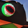 30D 14M Giant Gecko Kite 39ft Large Single Line Soft Inflatable Kites Ripstop Nylon Fabric with Bag Professional Kite Cometas 5
