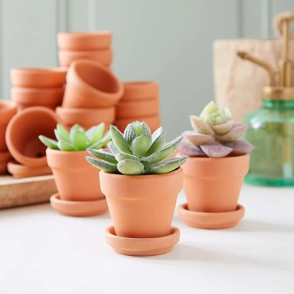One Flower Pot Store