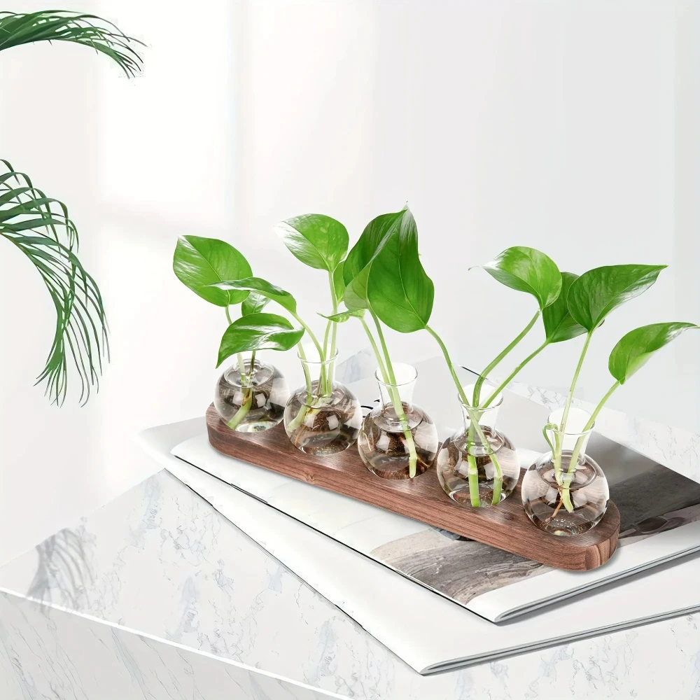 Modern Glass Terrarium with Wooden Tray - Decorative Desktop Plant Propagation Station & Home Decor Planter