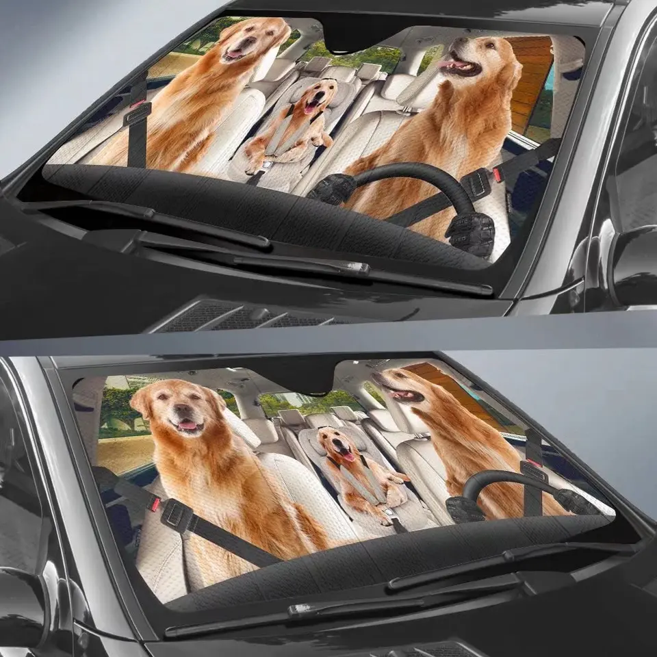 Pagina 9 | Immagini di Cane Golden Retriever - Download gratui su Freepik
