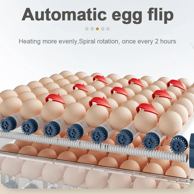  ÷  Ʈ    ȯ   ť,  δ ڵ ť, 110V 220 V 