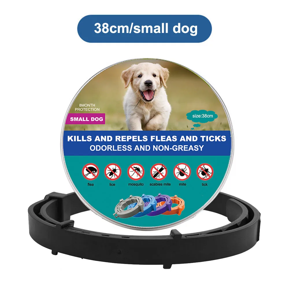 black (small dogs)