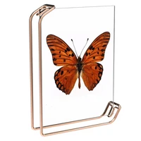 Acrylic Photo Frame Metal Photos Frame Nordic Photo Frames For Wedding Party Picture Frame For Desktop