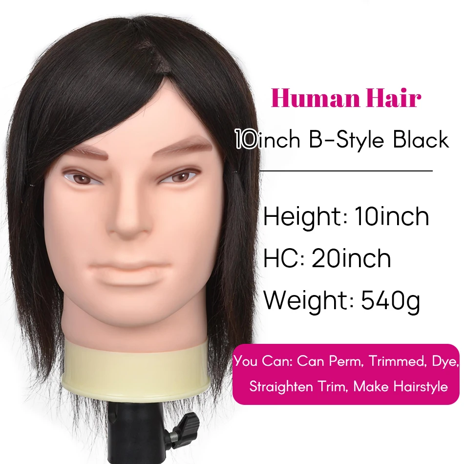 Head B1