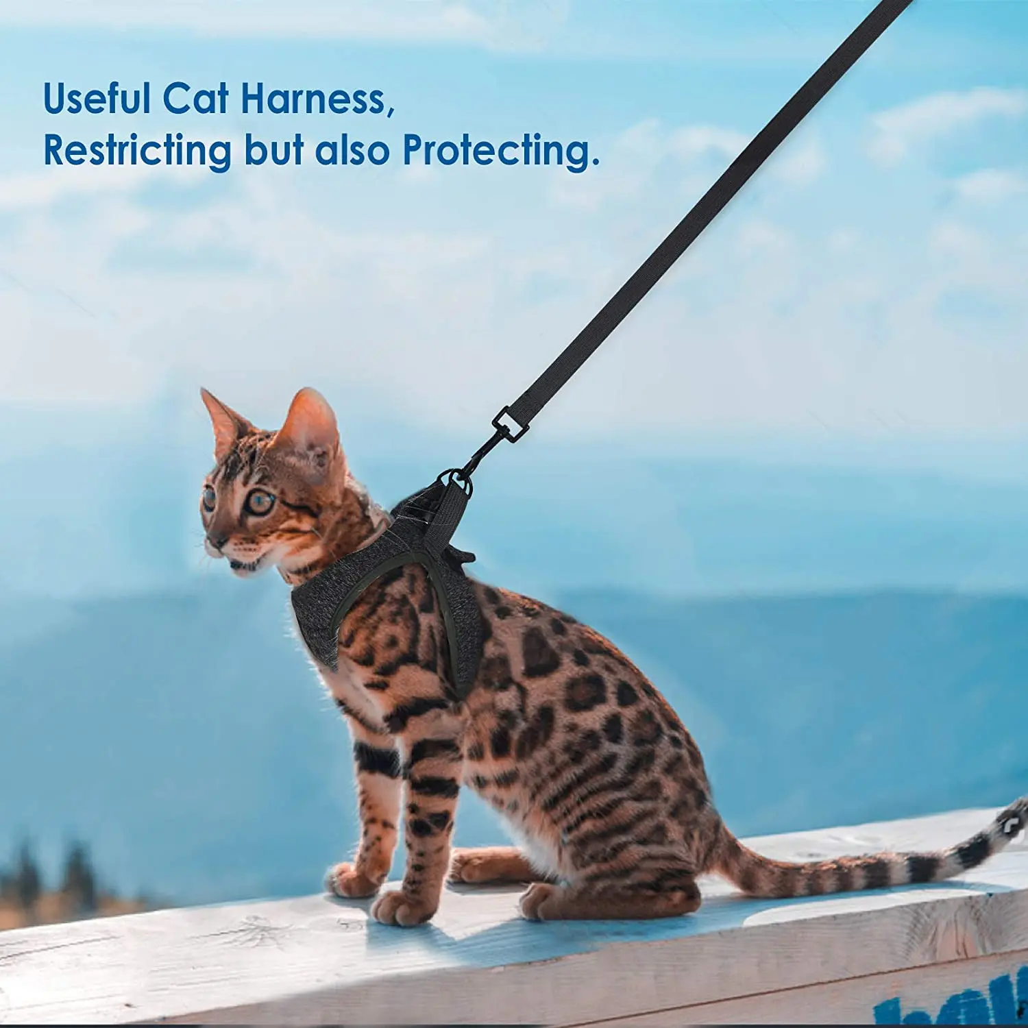 Adjustable Anti-Escape Kitten Harness – Lightweight Breathable Soft Cat Vest with Leash
