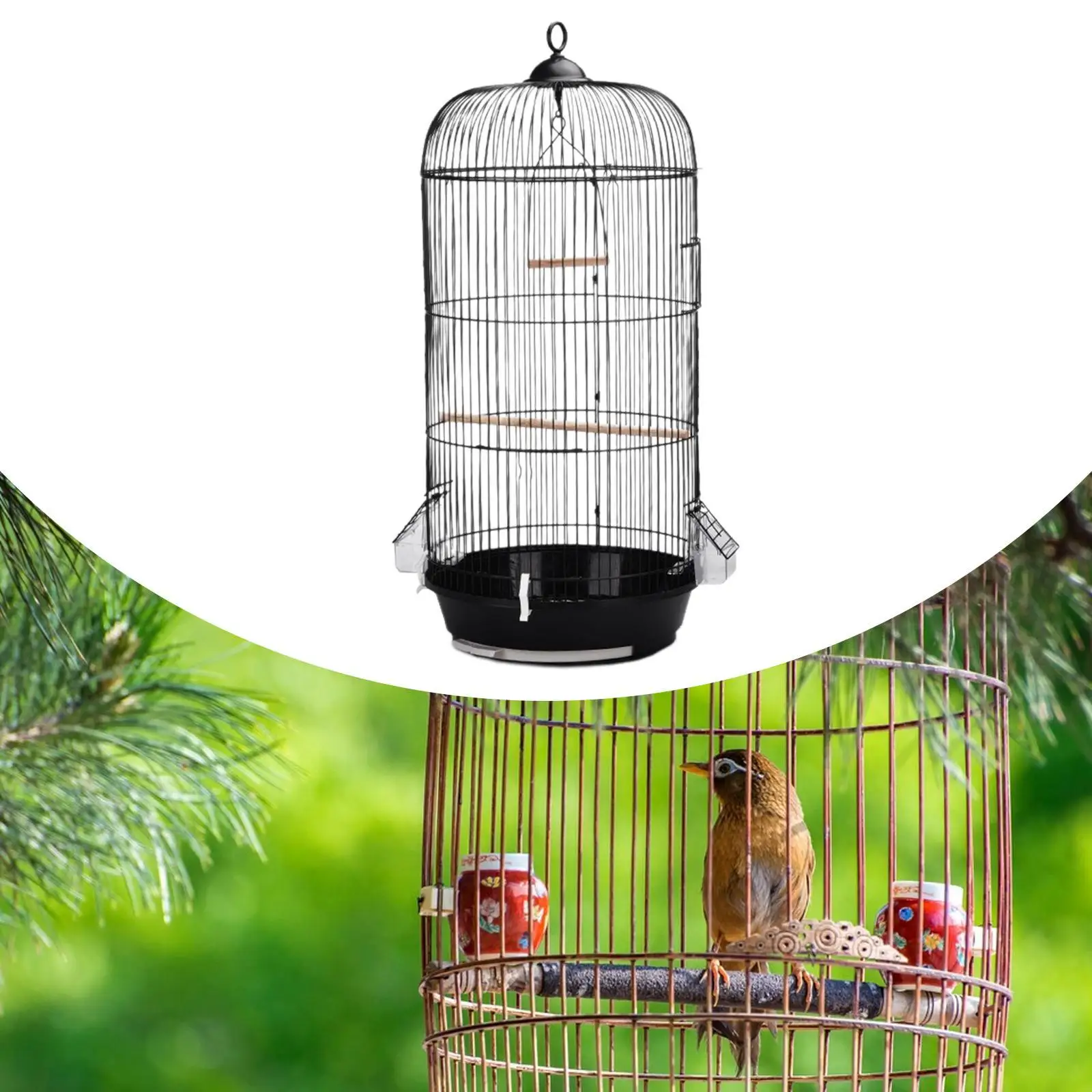 Round Mesh Bird Cage 2