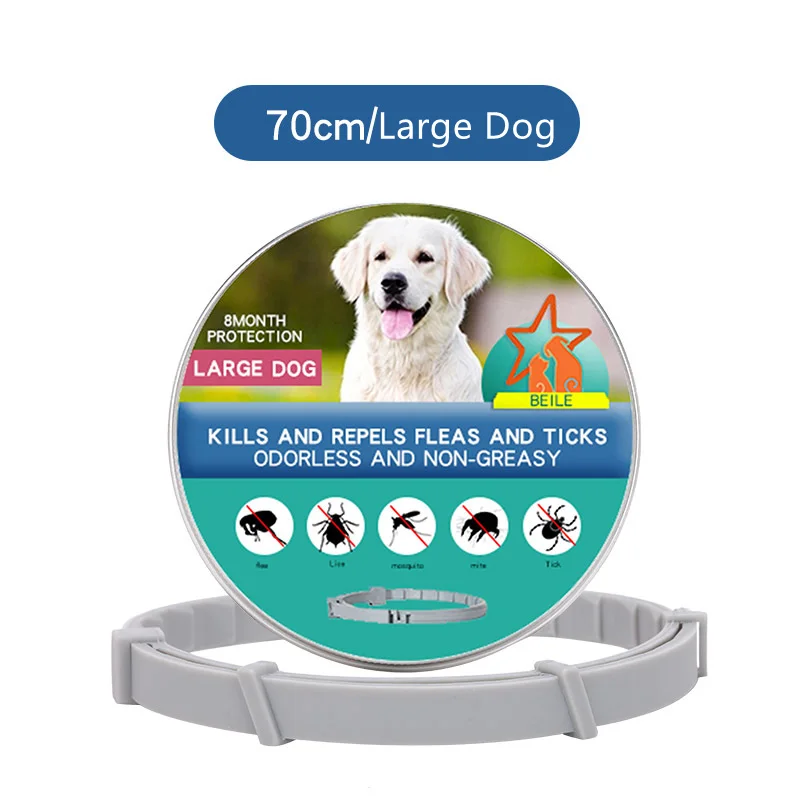 Large Dog-70cm Box