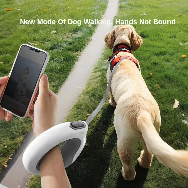 Retractable chain dog leash 2025