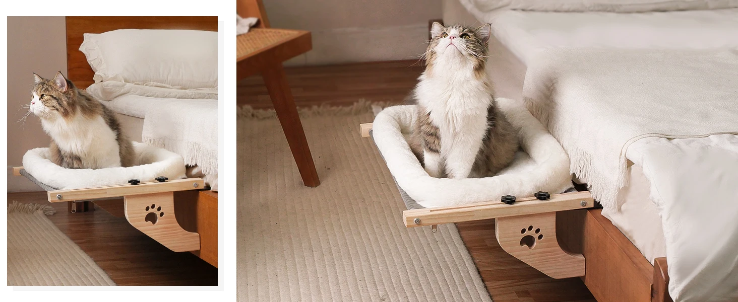 cat windowsill perch