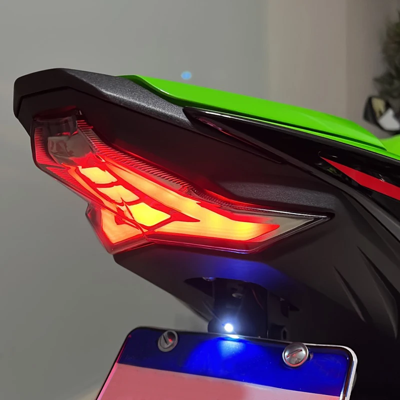 TAORIDER-MOTO LED Integrated Taillight Tail Turn Signals