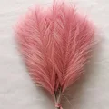 Dark Pink