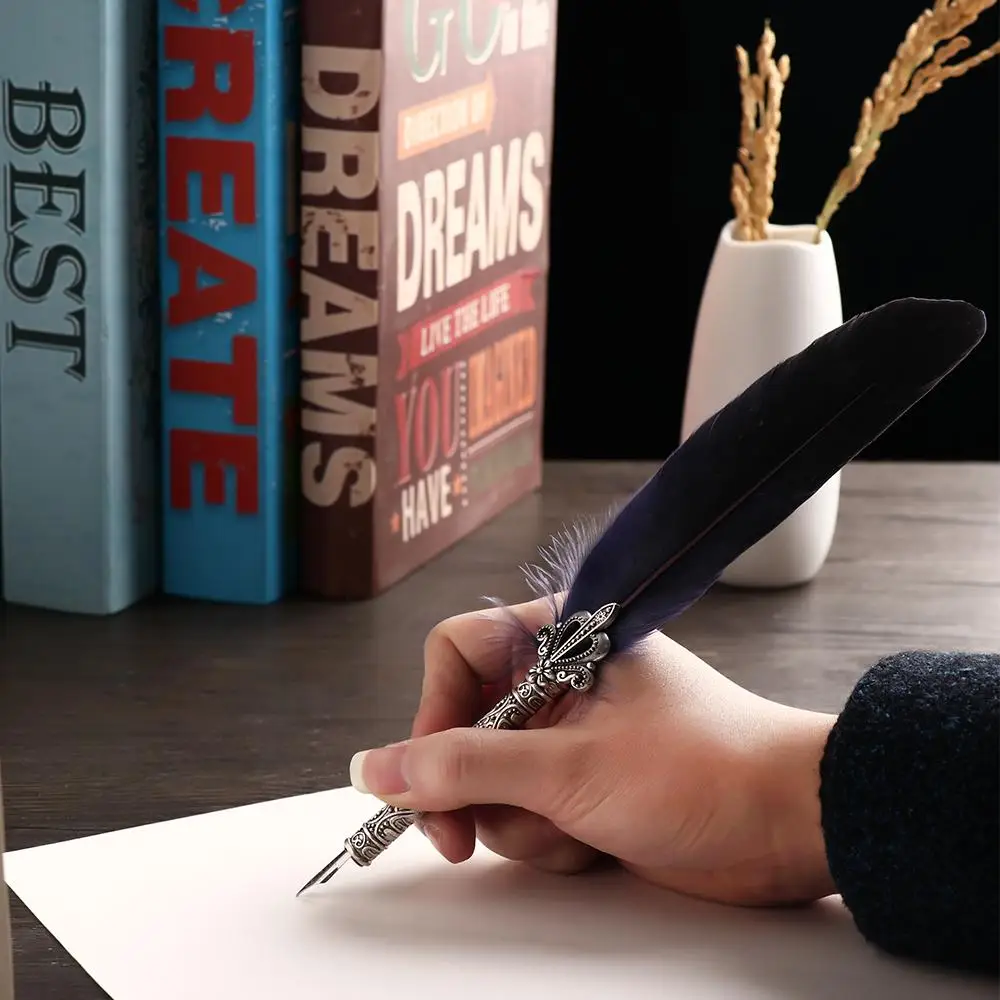 Vintage Feather Pen Set with Ornate Quill and Nib Collection - Elegant Writing Gift Set