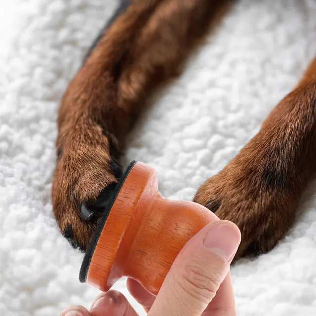 1Set Detachable Pet Nail File Wooden Handle Dog Grinding Tool Round Shape for Comfortable Trimming Puppy Nail Care Kit 2