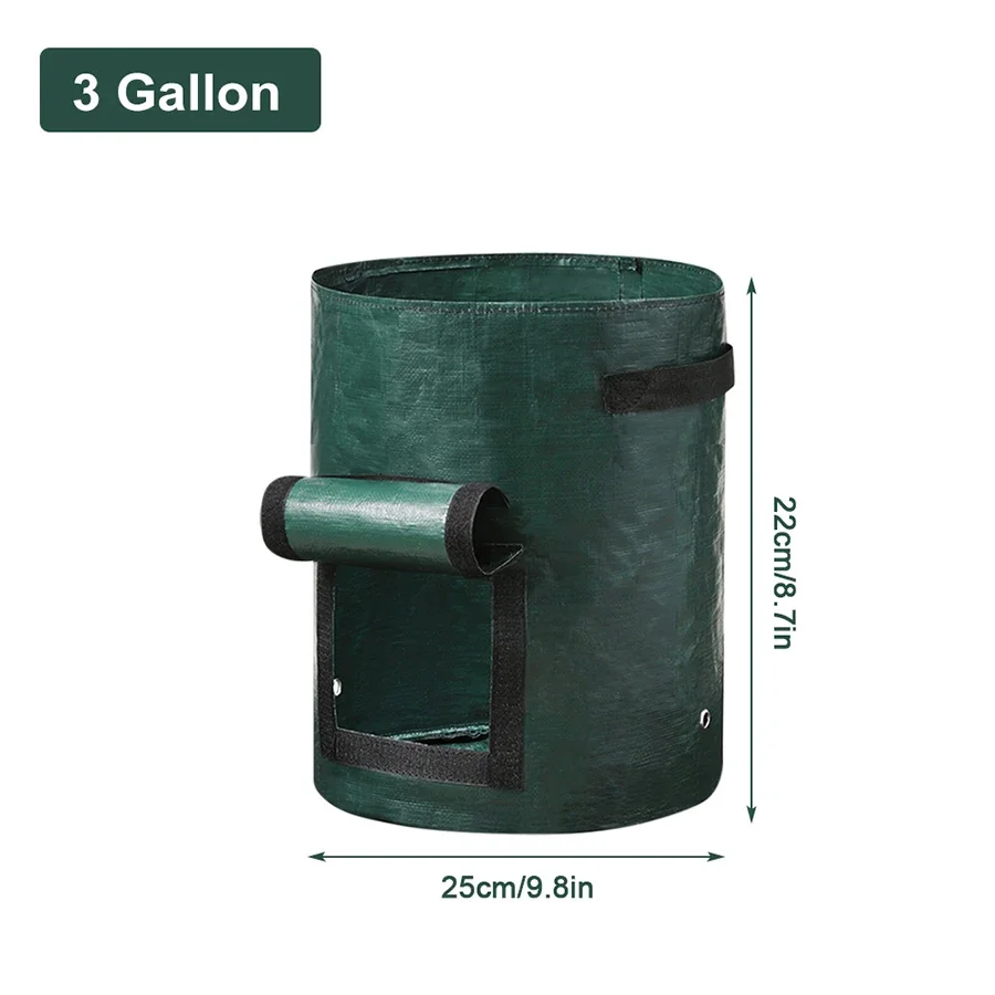3 Gallon