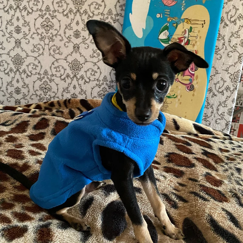 Para Perros Machos Ropa Para Pinscher Miniatura Hembra Ropa Para - Main Image