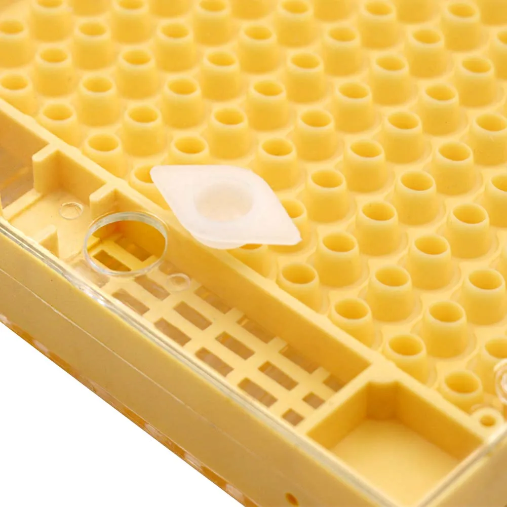 Beekeeping Tools Bee Breeding Box Queen Bee Cages