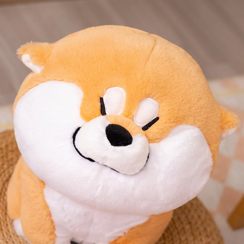 S0b572ddc4e1c4d668429734da6ad7147r - Corgi Gifts