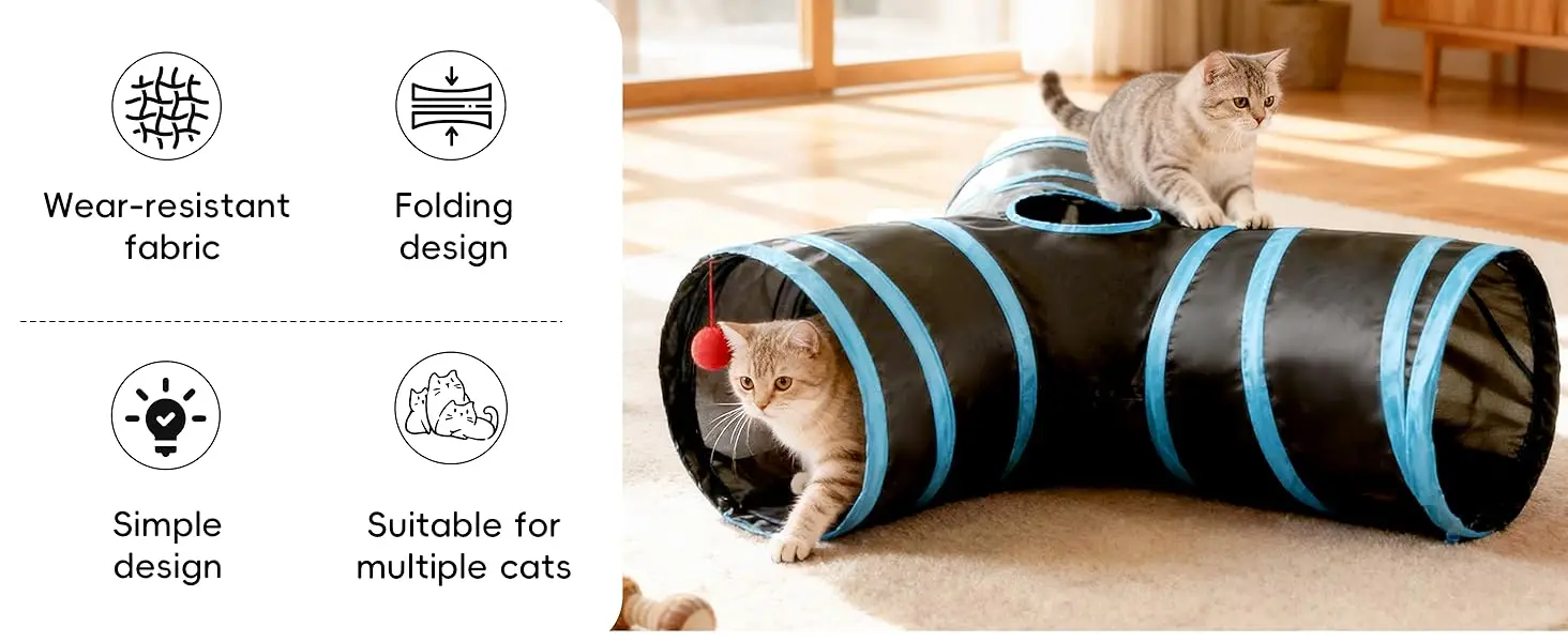 cat tunnel