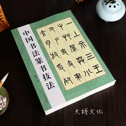 476pages, Chinese Calligraphy Book Learning Seal-Character Writing Zhuan Shi